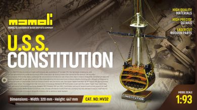 SECCION CONSTITUTION 1/93
